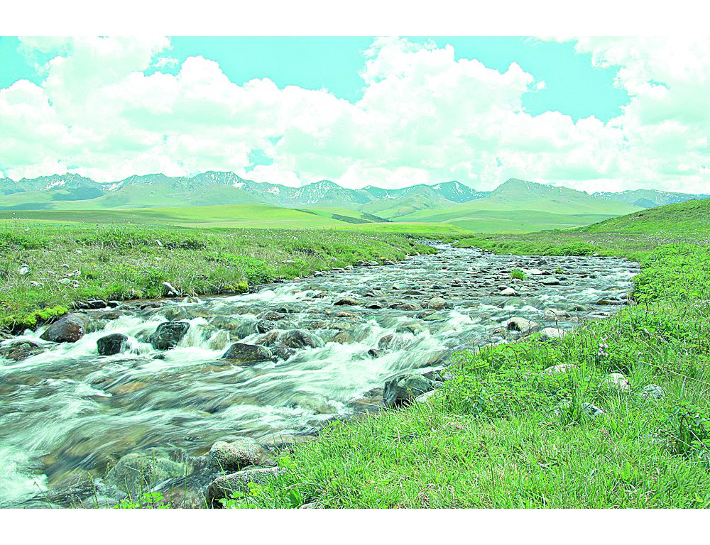 Көкжиде жерасты суларын сақтап қалу қажет