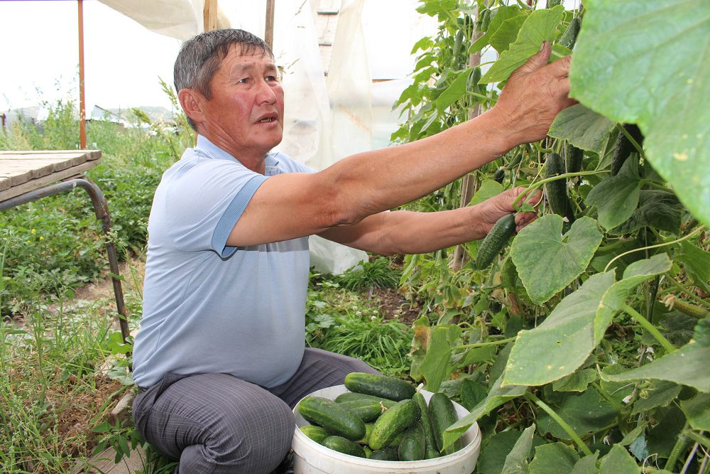 Міне, нағыз агроном!