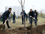 Қазақстандық және шетелдік дипломаттар ағаш отырғызу ауқымды акциясына қатысты