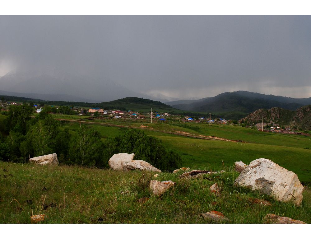 Катонқарағайды қалай сақтап қаламыз?