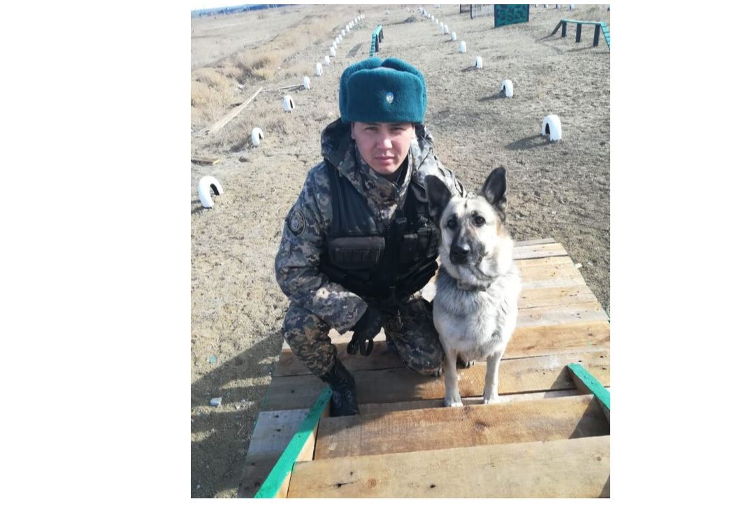 Жезқазғанда иттің көмегімен адам өлтірген күдікті қолға түсті