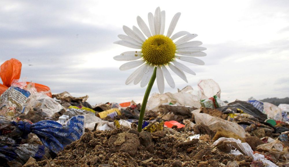 Тарбағатай ұлттық паркіндегі орманды сақтай білейік