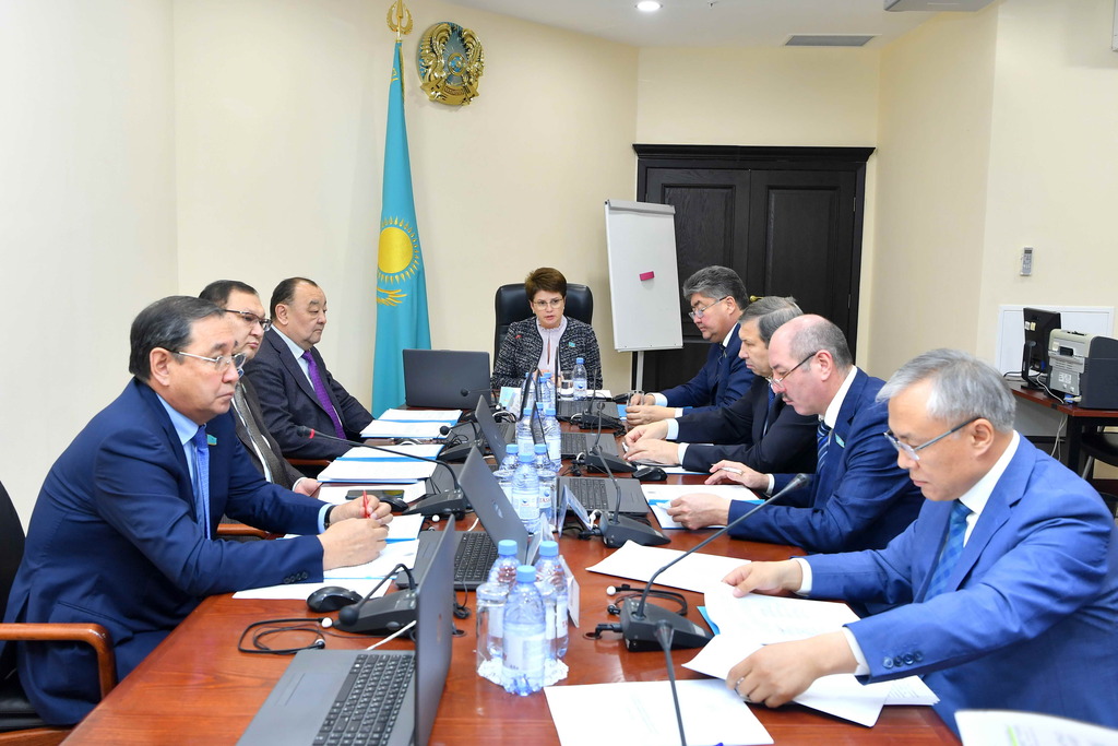 Сенатта кеден ісіндегі ынтымақтастық және өзара көмек туралы заң жобасы қаралды