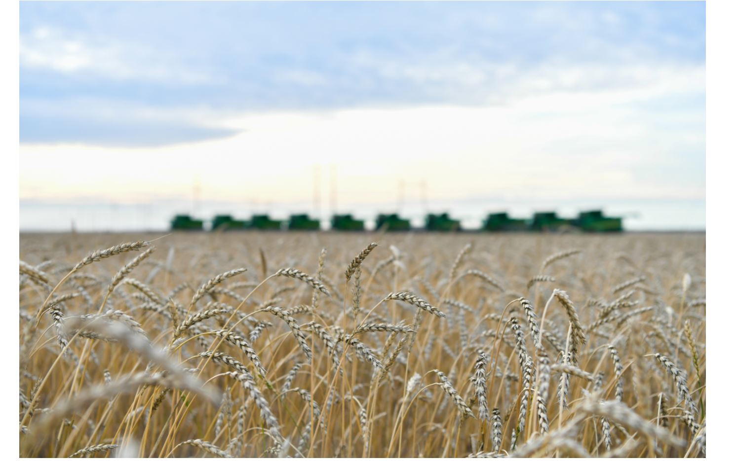 «Болашағы жоқ ауылдар» деген қасаң көзқарастан арылатын мезгіл жетті
