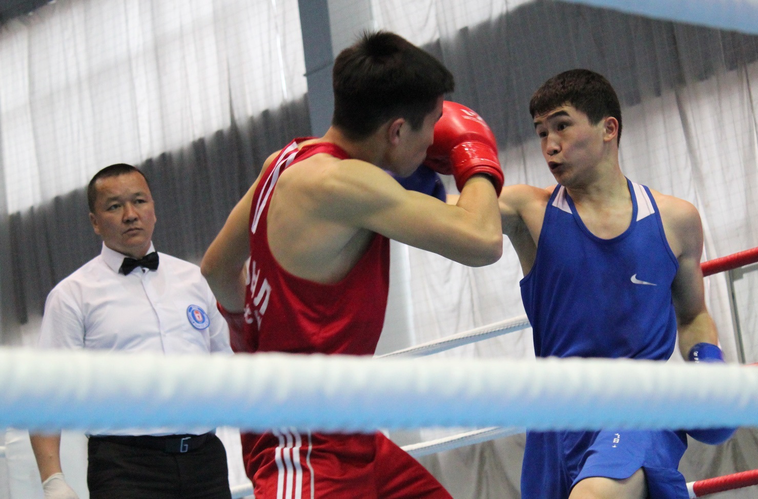 Бокс: Ардагердің құрметіне өткен жарыс аяқталды