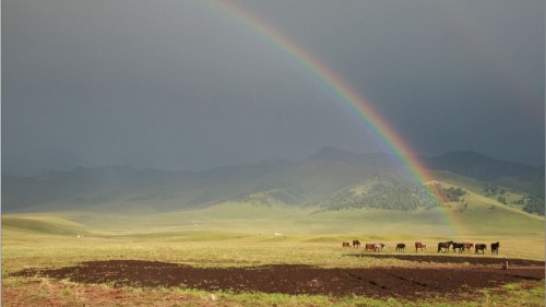 Шерумен және бос сөзбен шаруа бітпейді