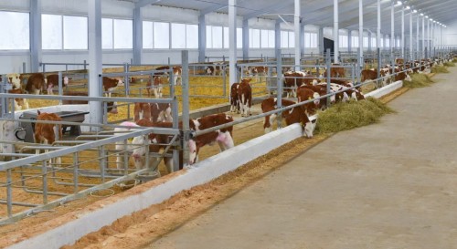 Ынтымақтастықтың күнгейі мен көлеңкесі