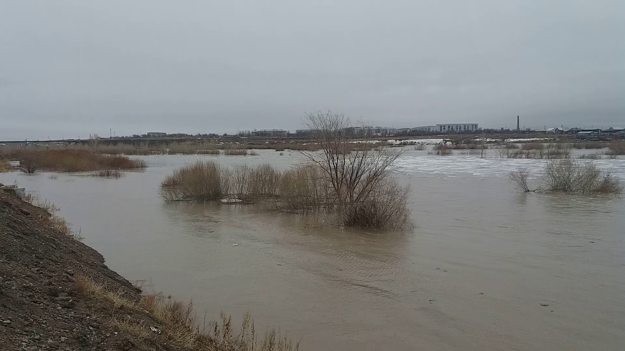 Көлдетіп суарудың пайдасы көл-көсір