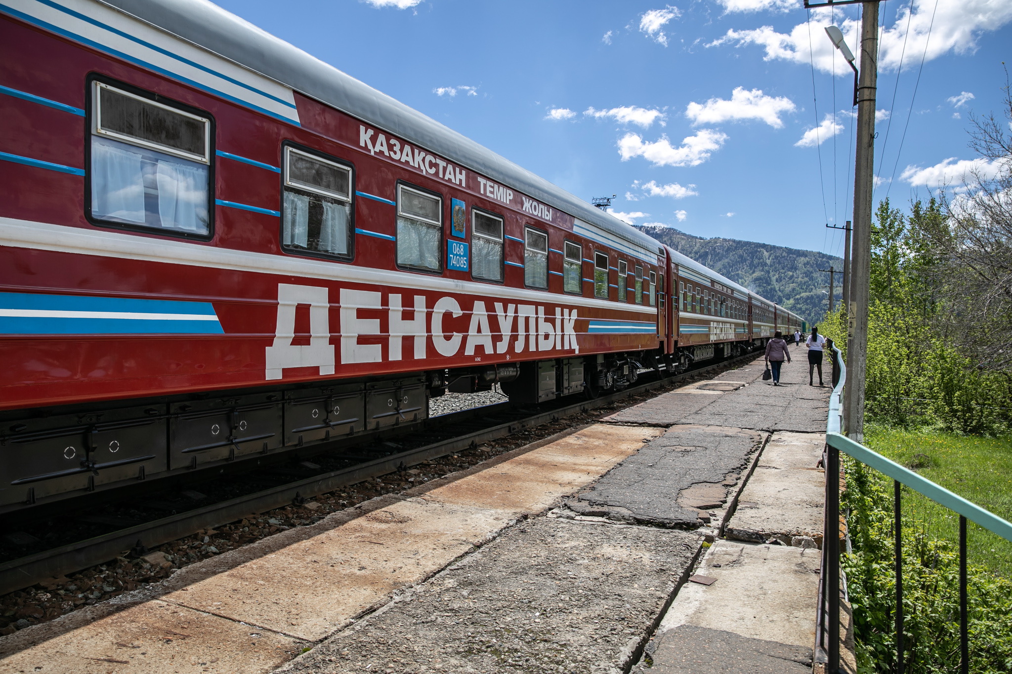 50 мыңнан астам адамға көмек көрсетті