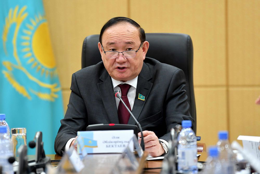 Сенаторларды «Ауыл - ел бесігі» жобасына енбеген ауылдық аумақтар толғандырады