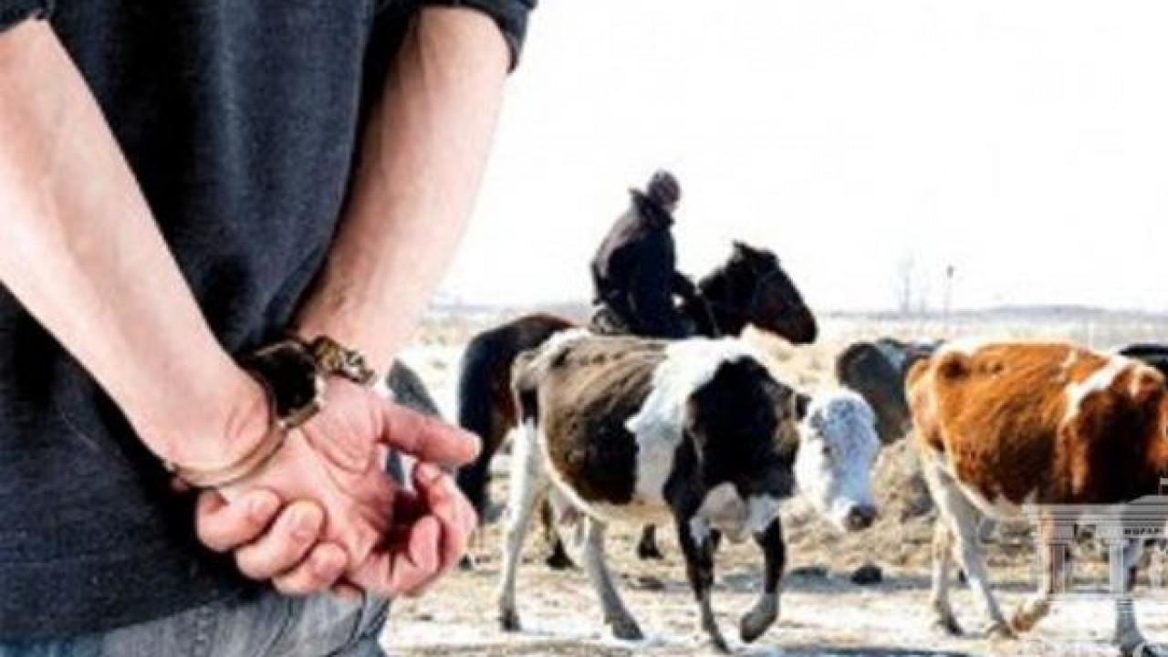 Құныққандар құрықталды