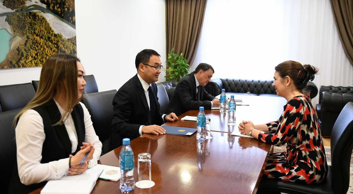 БҰҰ Әйелдер құрылымының өкілі Қазақстандағы миссиясын аяқтады