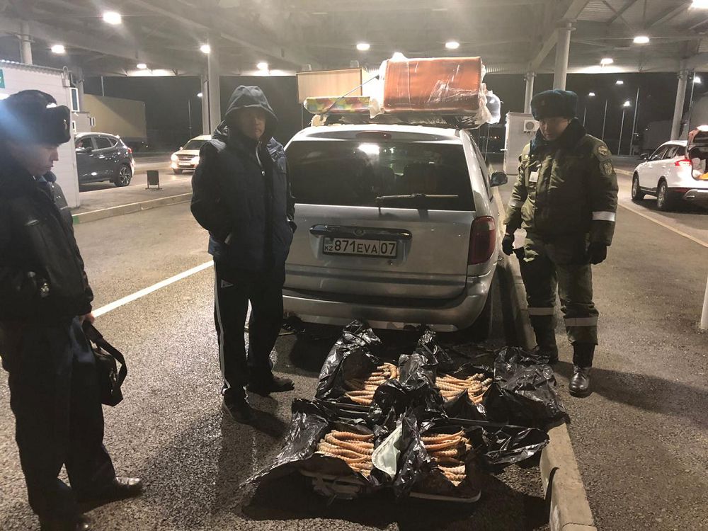 Киік мүйізін алып өтпек болған азамат ұсталды