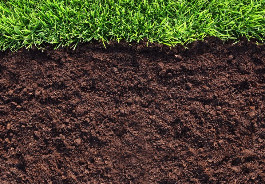 Жер жамылғысы сортаңға айналып барады