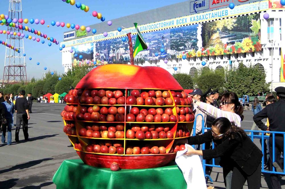 «Тәкаппар екен құлжа алма»