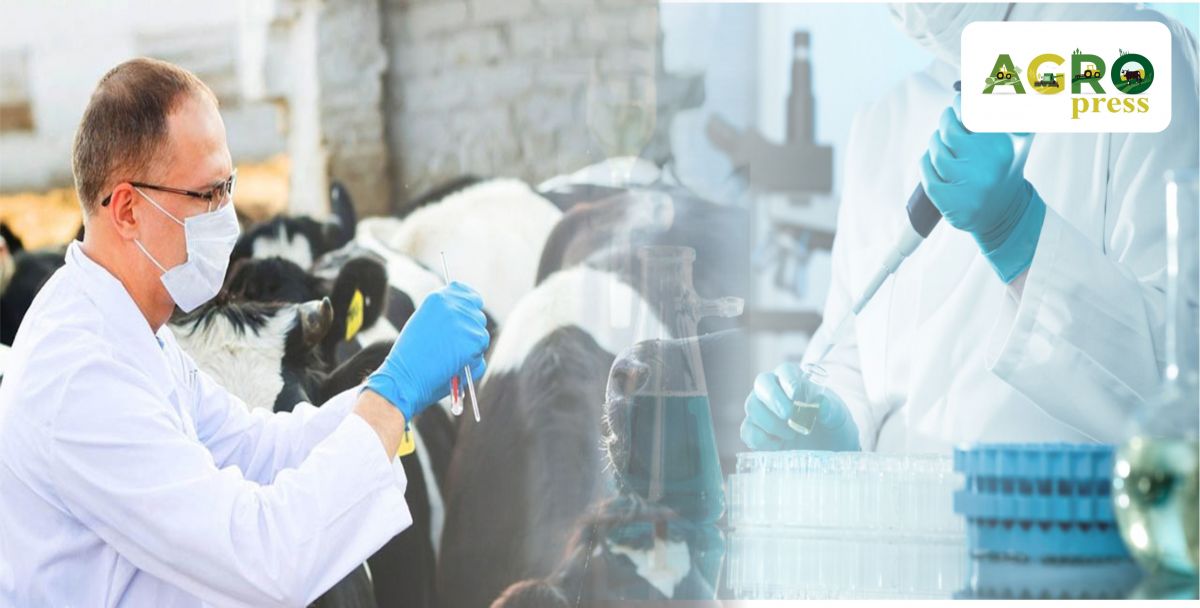 АШМ: Ветеринарлық тексеріс ескертусіз жүргізіледі