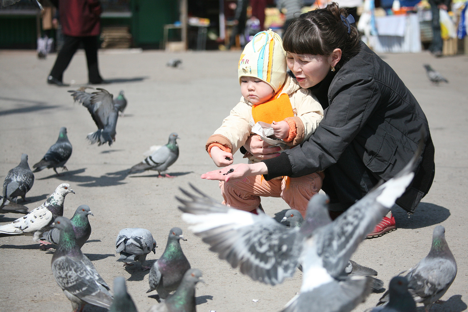 Qorgau жобасы азаматтарға қолұшын созады