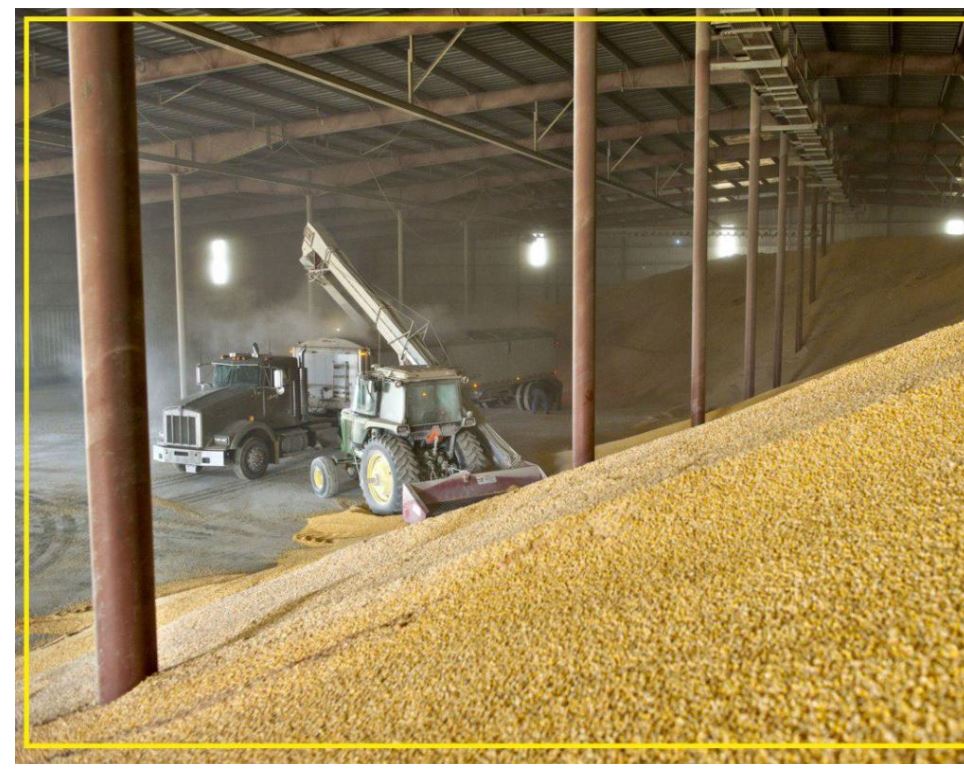 Қазақстан мемлекеттік резервке 350 мың тонна бидай сатып алды