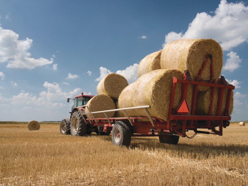 Еңбекқорлар ел ішінде