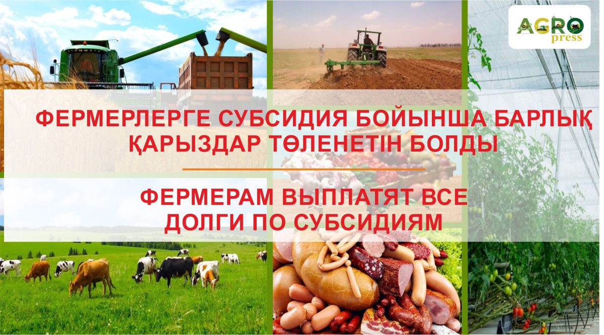 Фермерлерге субсидия бойынша барлық қарыздар төленетін болды