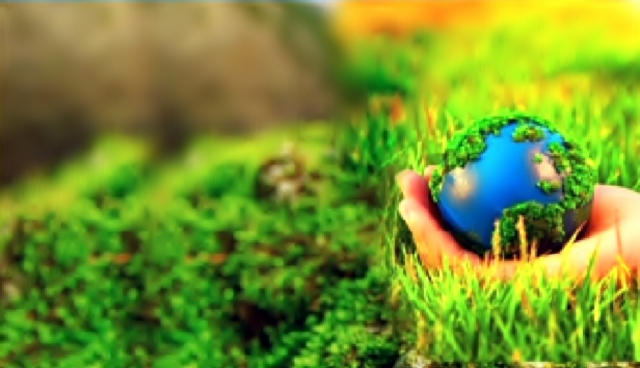 Ел экологиясын қорғау – Отанды қорғау