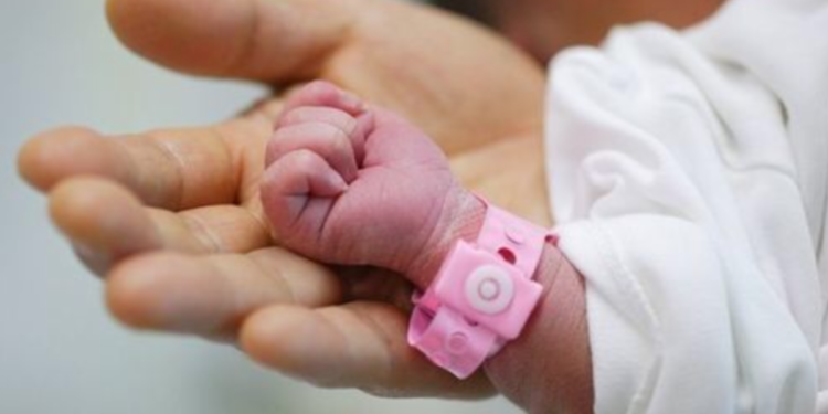 Талдықорғанда Жаңа жыл түнінде 7 сәби дүниеге келді