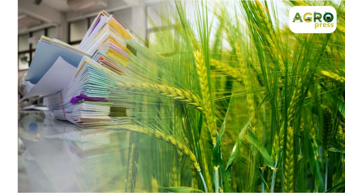 Өсімдік және мал шаруашылығы ерікті сақтандыруға көшеді