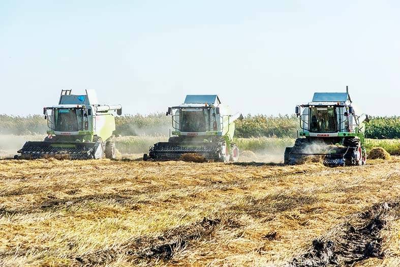 Аграрлы-индустриялы бағыт тиімді