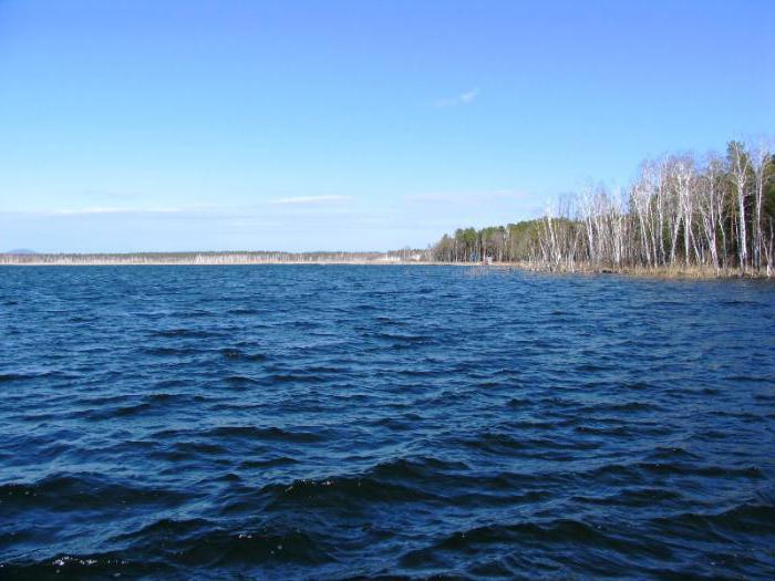 Көкшетаудағы Қопа көлі тазартылады