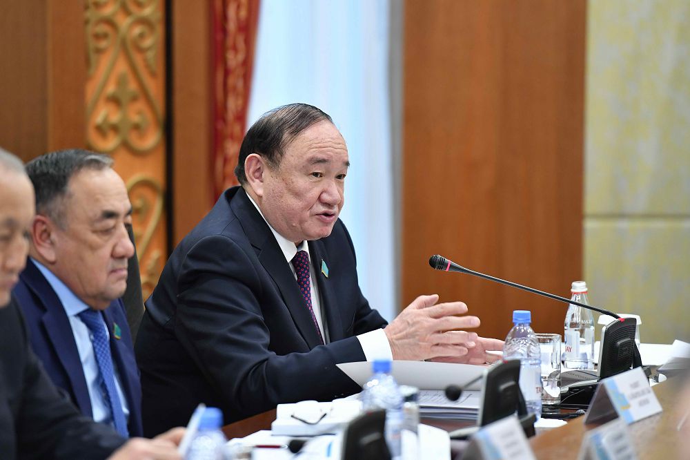 Д.Назарбаева ауыл шаруашылығы саласының өкілдерімен кездесті