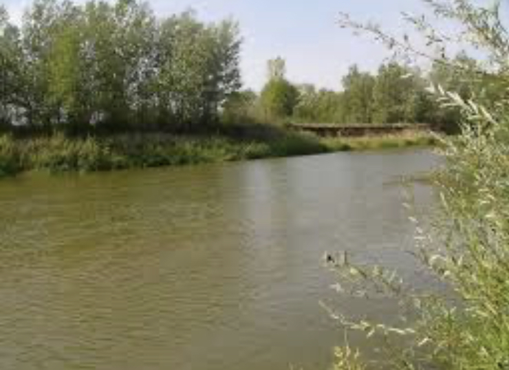 Електің соры – алты валентті хром