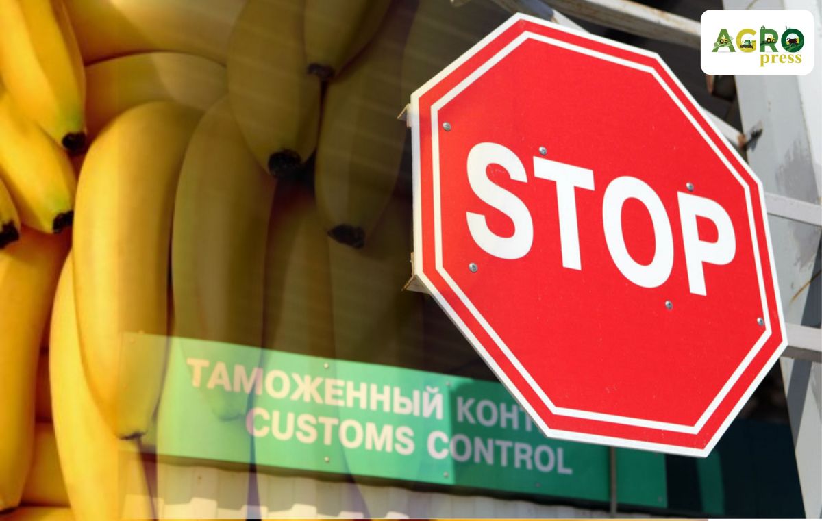 АШМ инспекторлары ресейлік 81 тонна банан өнімдерін өткізбеді