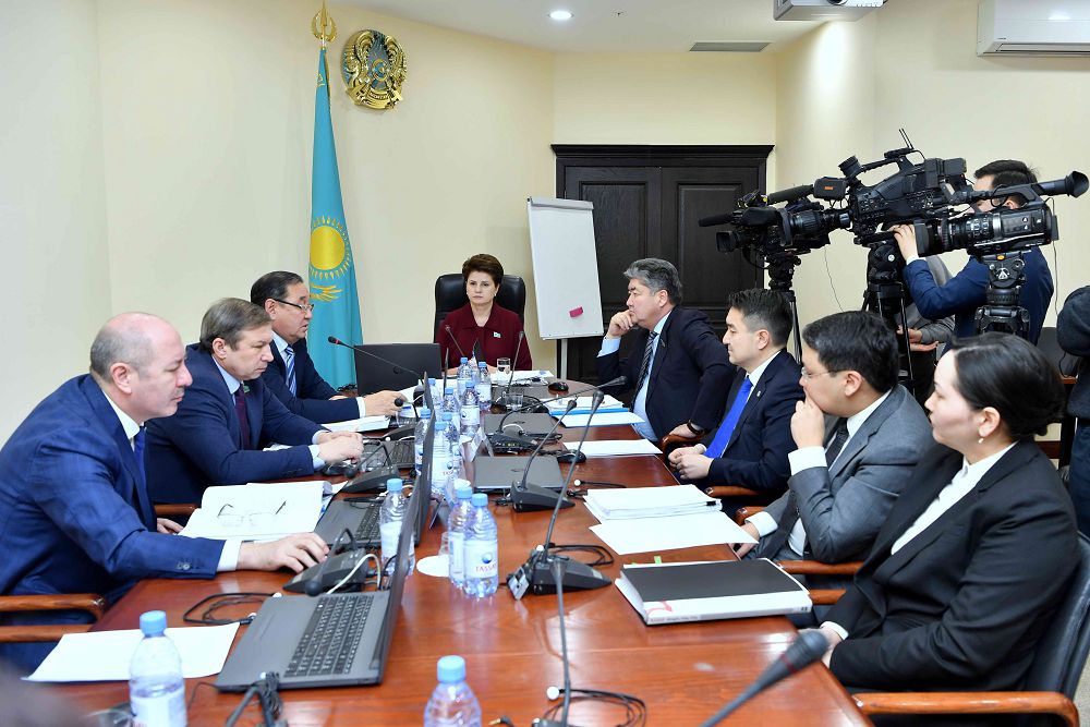 Сенаторлар салық шараларына қатысты көпжақты конвенцияны қарады