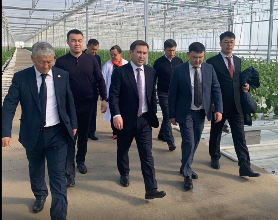 Шымкент: Ауыл шаруашылығы саласына баса назар аударады