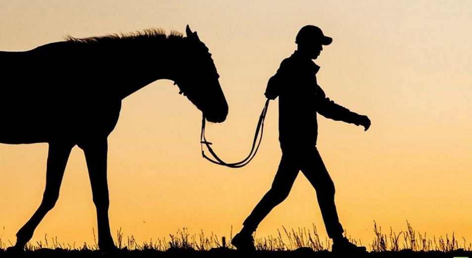 Мал ұрлығына жергілікті әкімдік, мал дәрігерлері де жауапты