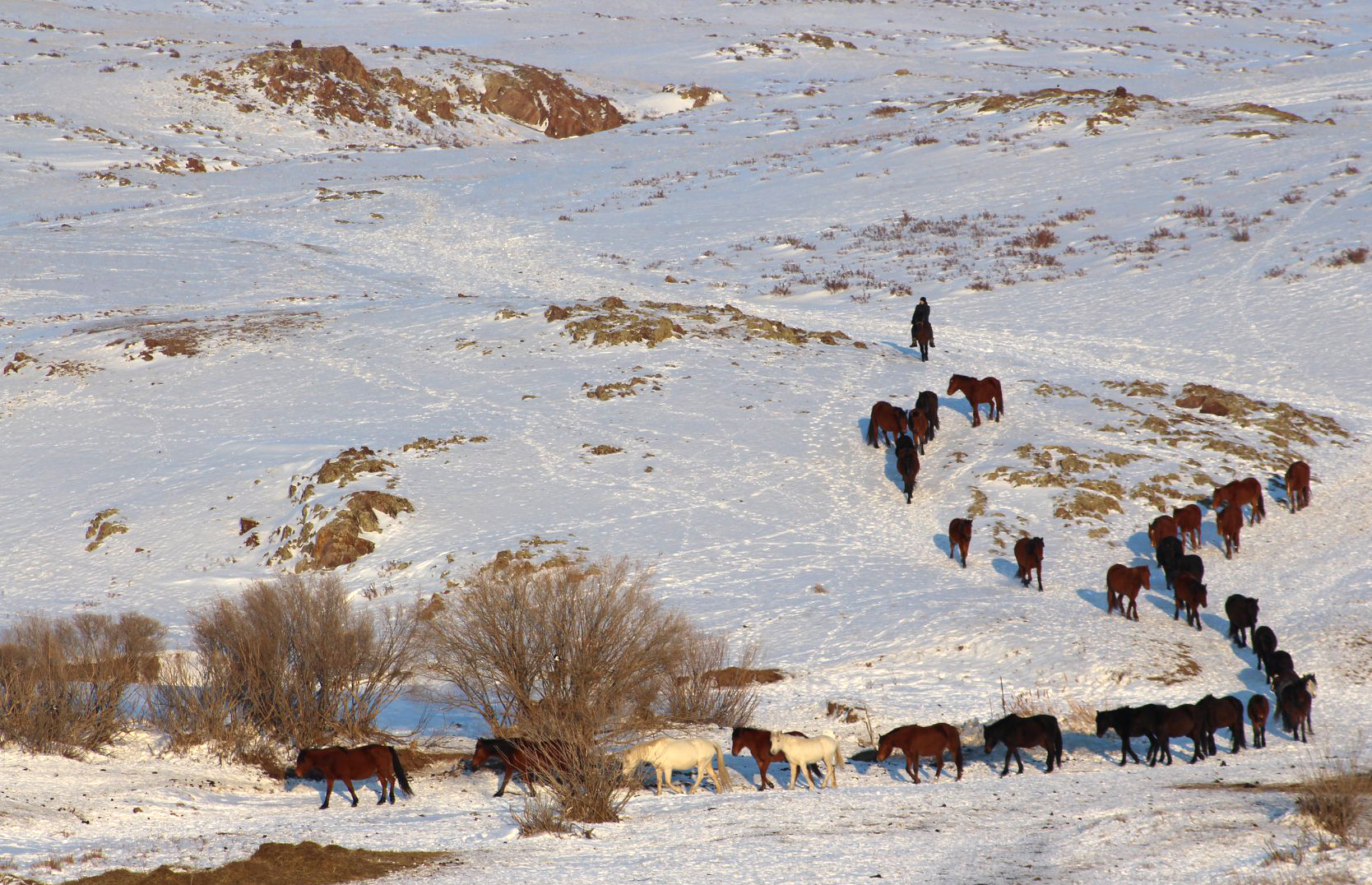 Қамбар ата қамқорлыққа зәру