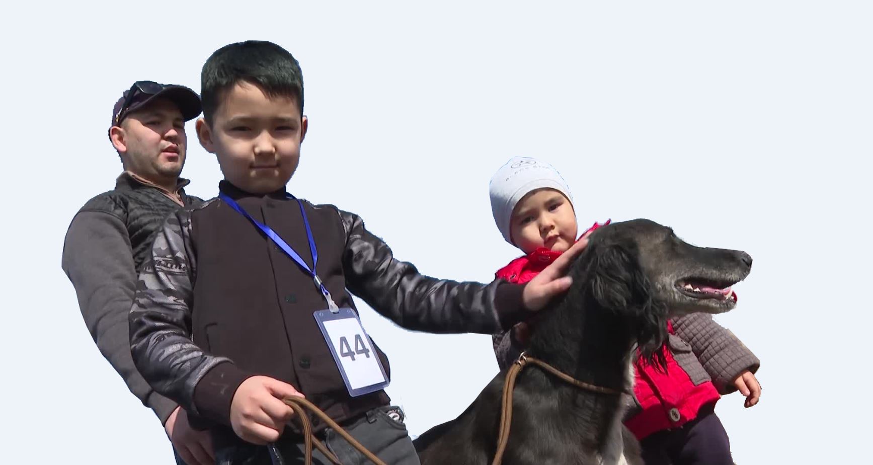 Қазақтың құмай тазысы