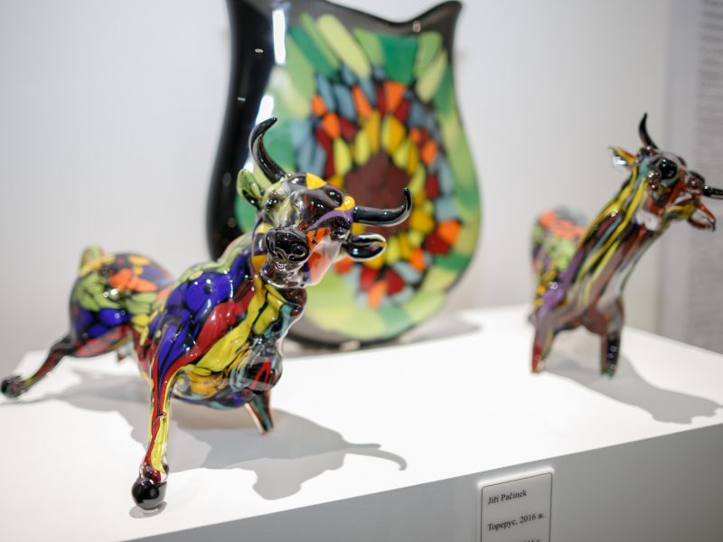 Иржи Пачинектің шыны бағы