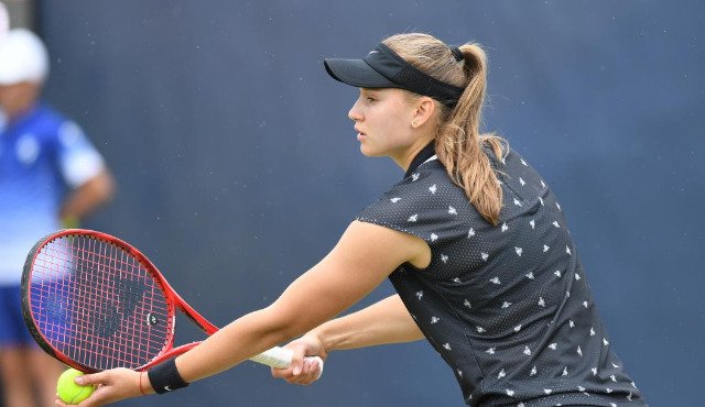Теннисші Елена Рыбакинаның табысы қанша?
