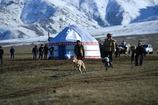 Салбурын – мереке ғой саятшыға