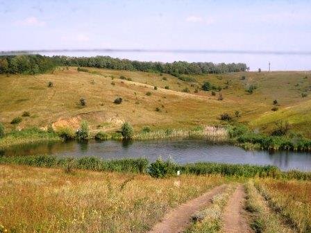 Айсарыдай ару өткен деседі