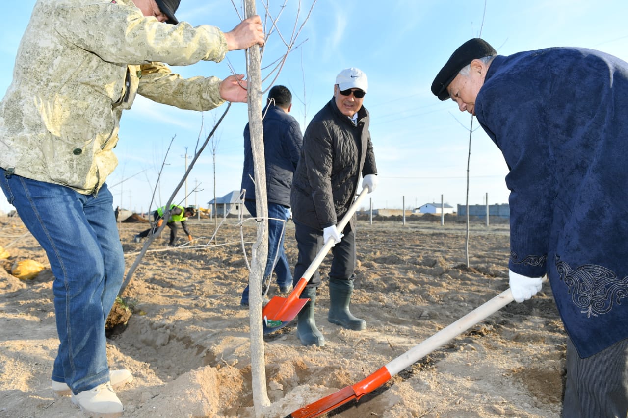 Өмірзақ Шөкеев: Жасыл белдеу Түркістанның табиғи тынысына айналады