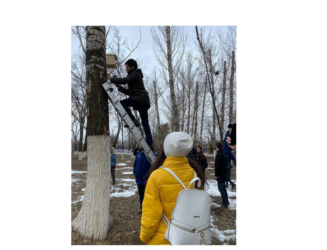 Құстардың досы