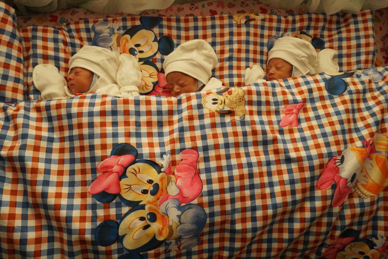 Түркістан: Келес ауданында үшінші үшем дүниеге келді