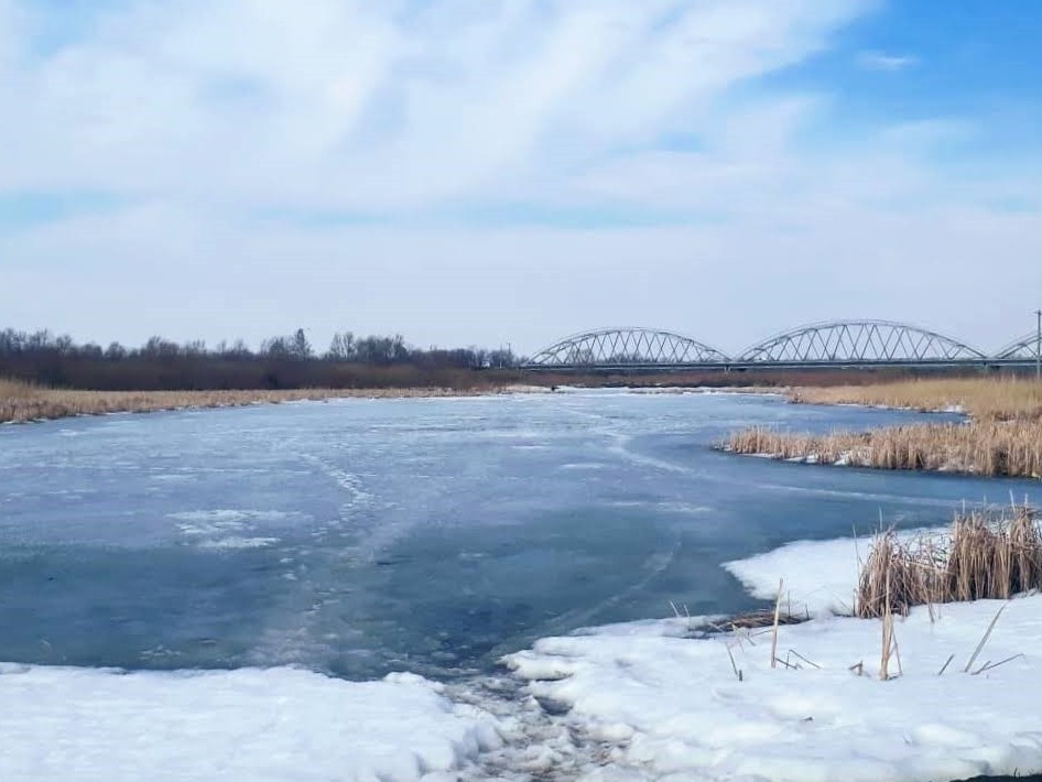 Жұқа мұздың «жұтып» кету қаупі зор