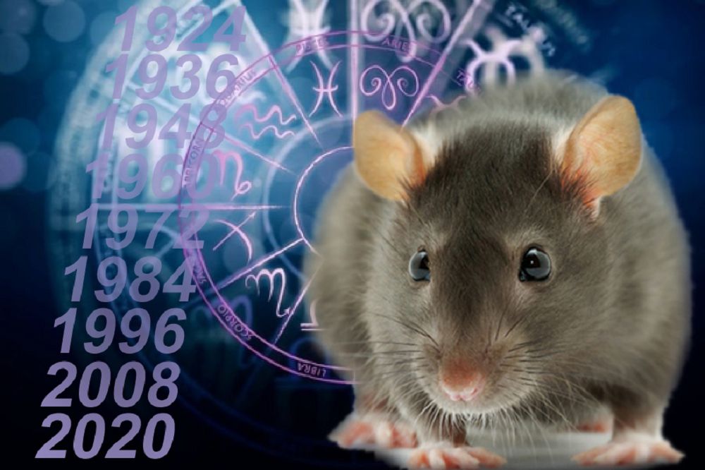 Тышқан жылы жайлы толғам