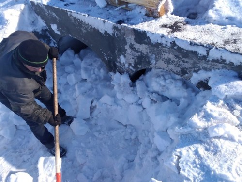 Петропавлда полицияның ұйғарымын орындамаған 7  тұлғаға айыппұл салынды