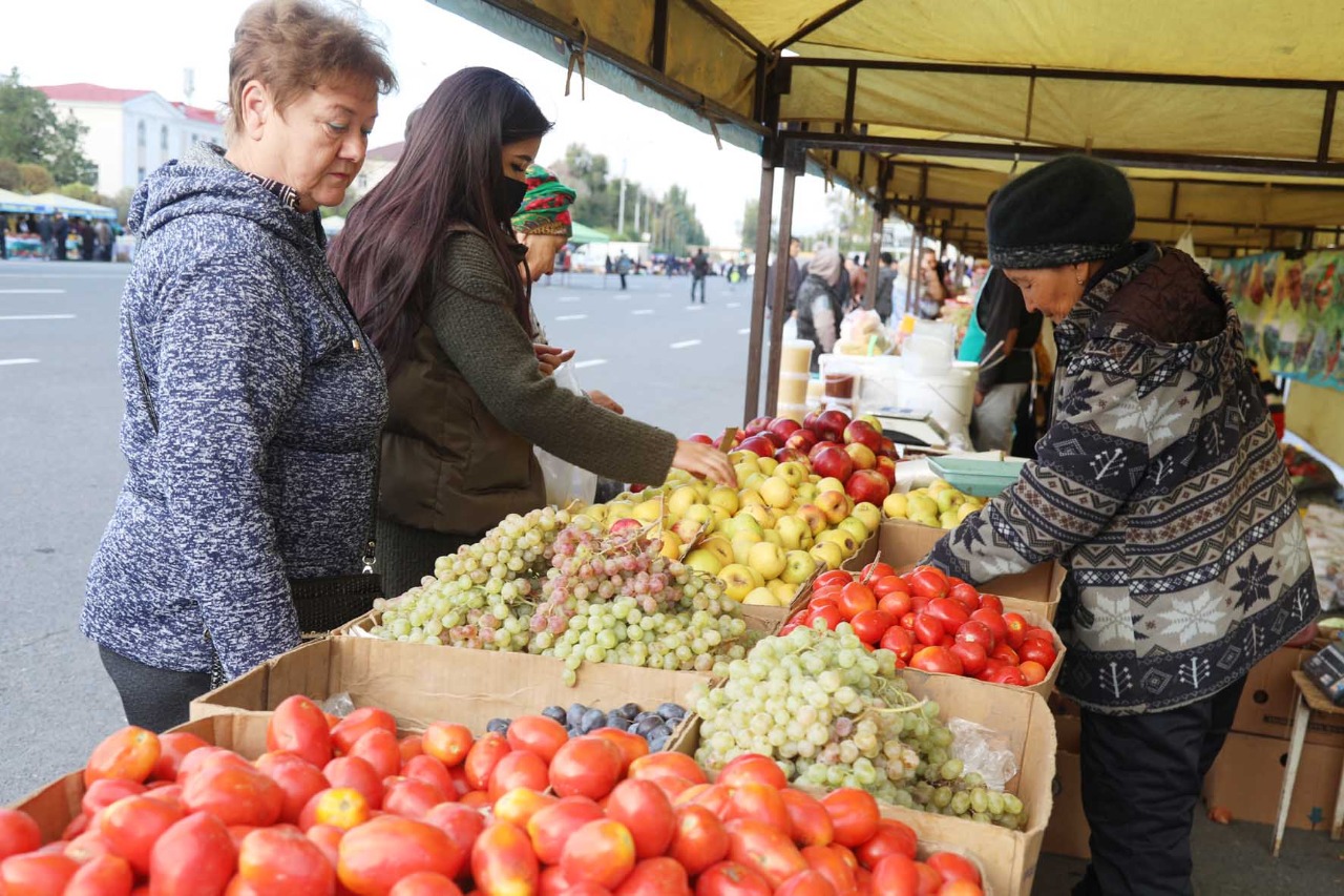 Жамбыл облысында 63 мың тонна азық-түлік қоры бар