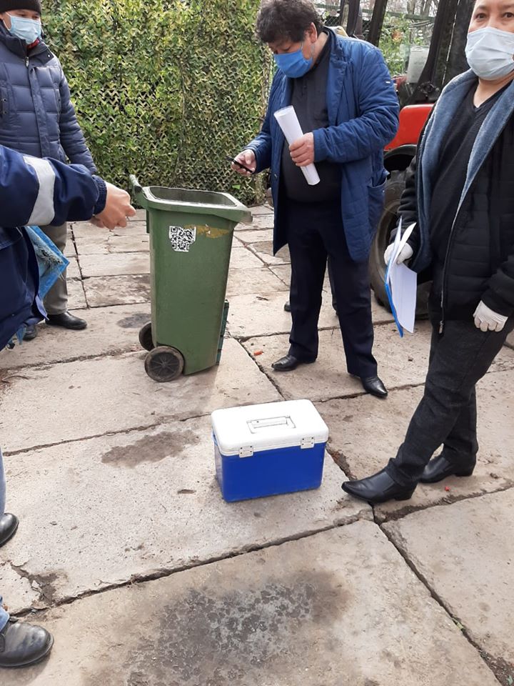 Алматы: Көгершіндер неден қырылуы мүмкін?