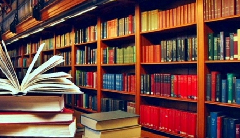 Жазылған жайдың жалғасы: Кітапханашы мен медбикенің мәселесін кім шешеді?